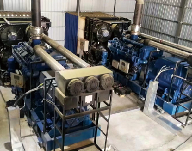 新疆燃?xì)獍l(fā)電項(xiàng)目（2臺(tái)1000KW10.5KV6極高壓發(fā)電機(jī))
