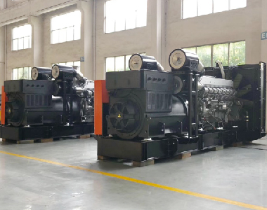 歐洲出口項(xiàng)目（2臺(tái)1500KW6300V高壓發(fā)電機(jī)）