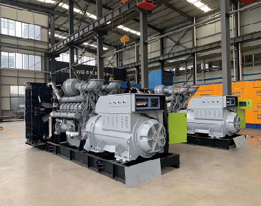 歐洲出口項(xiàng)目（帕金斯配德科2臺(tái)1250KW6300V高壓發(fā)電機(jī))