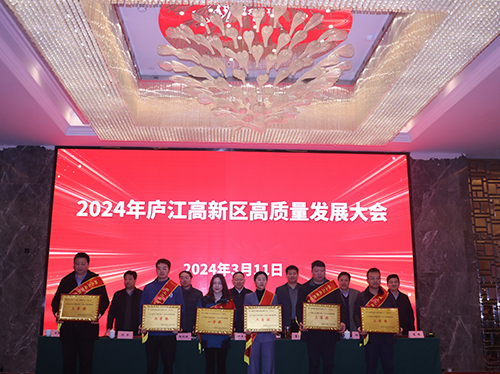 【喜報(bào)】德科電氣榮獲2023年廬江高新區(qū)企業(yè)高質(zhì)量發(fā)展一等獎(jiǎng)！