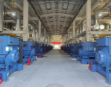 山西24WM瓦斯發(fā)電站項(xiàng)目（24臺(tái)1000KW/10.5KV高壓發(fā)電機(jī)）